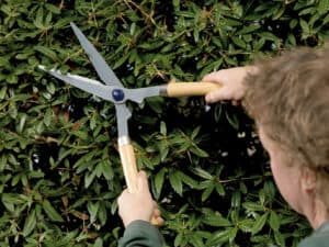 Garden Tools 