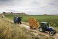 New Holland Braud 9090X Grape Harvester