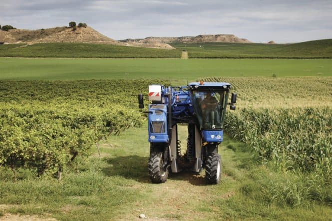 New Holland Braud 9090X Grape Harvester