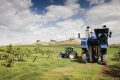 New Holland Braud 9090X Grape Harvester