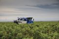 New Holland Braud 9090X Grape Harvester