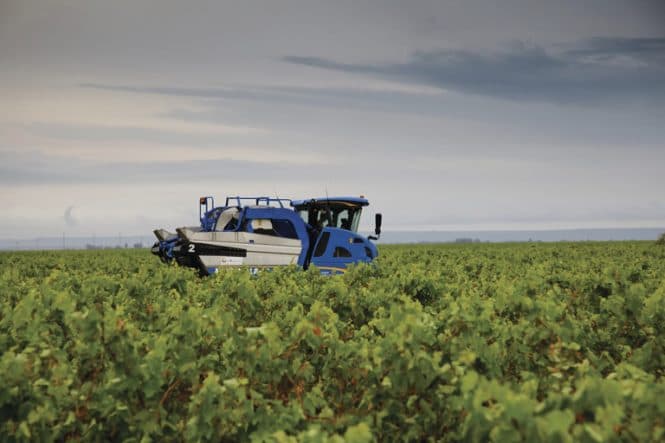 New Holland Braud 9090X Grape Harvester