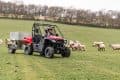 1369-honda-pioneer-520-first-edit-24
