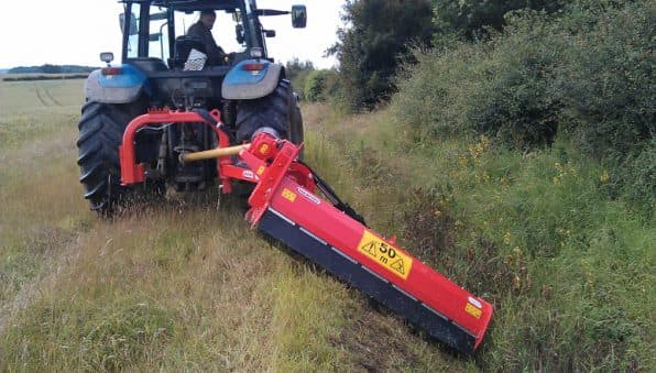 maschio